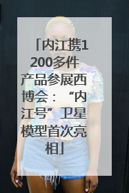 内江携1200多件产品参展西博会：“内江号”卫星模型首次亮相